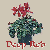 DEEP RED