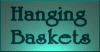 hanging baskets